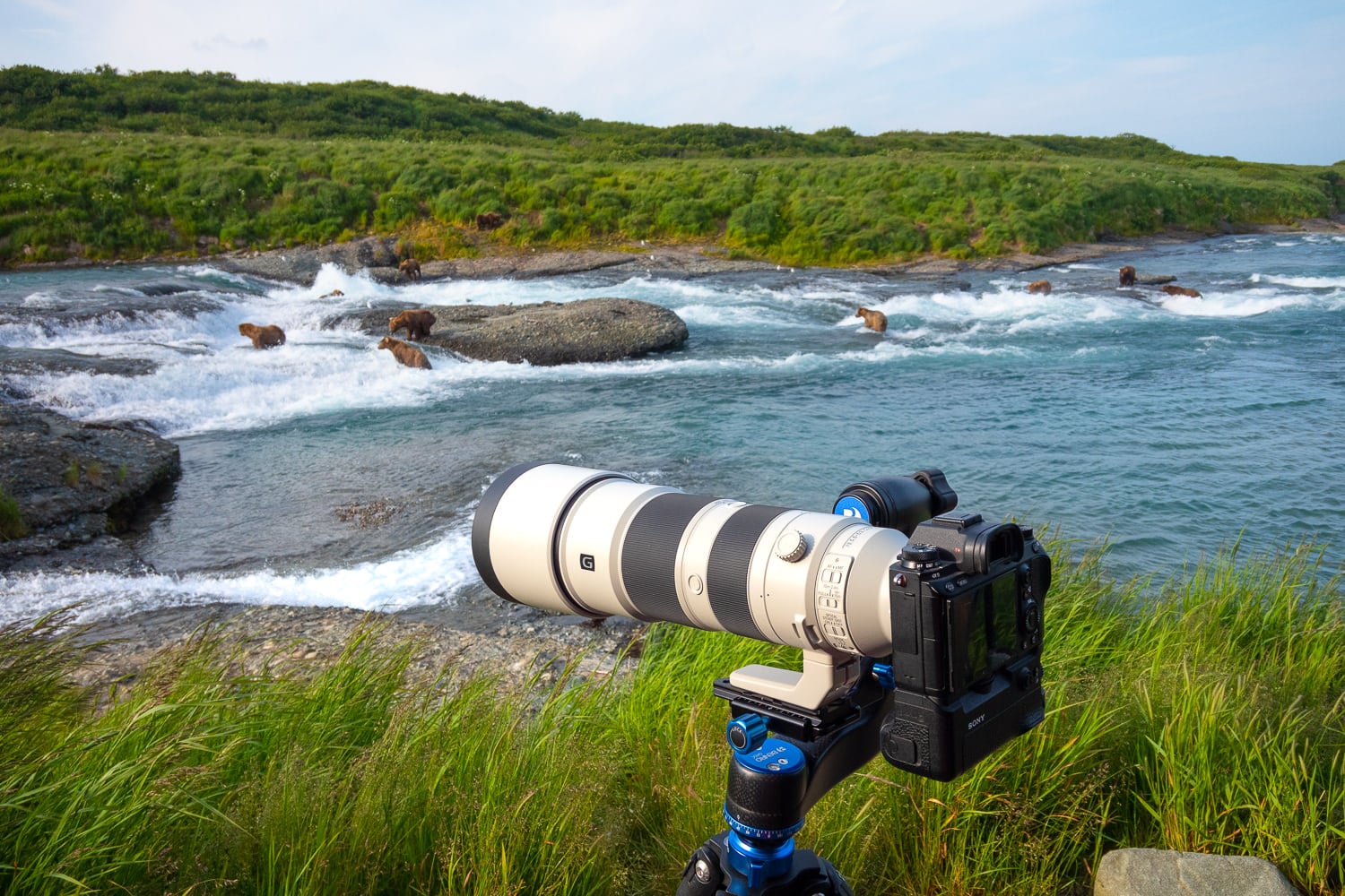 Gear Review: Sony 200-600 f/5.6-6.3 G Telephoto Lens