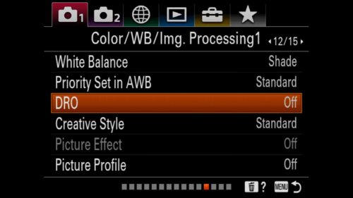 DRO Setting Sony a7R IV