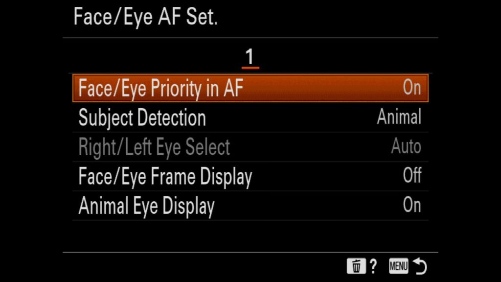 Settings for Eye AF Sony a7R IV