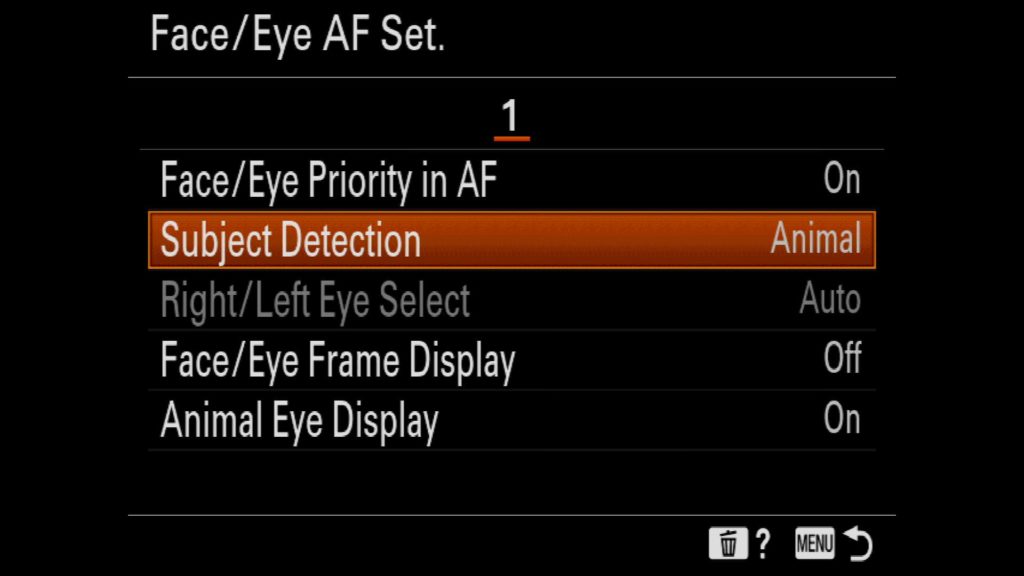 Subject Detection Eye AF Sony a7R IV