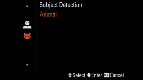 Selecting Animal Eye AF Sony a7R IV