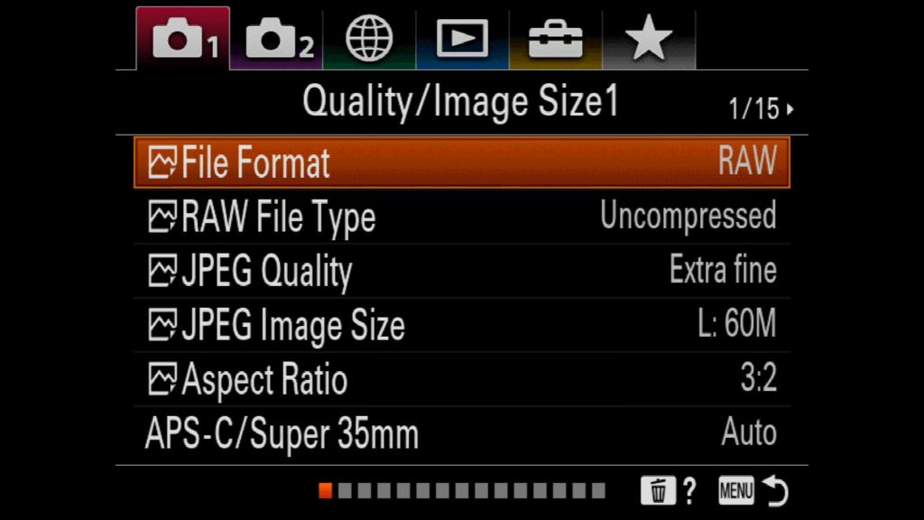 Changing File Format on Sony a7R IV