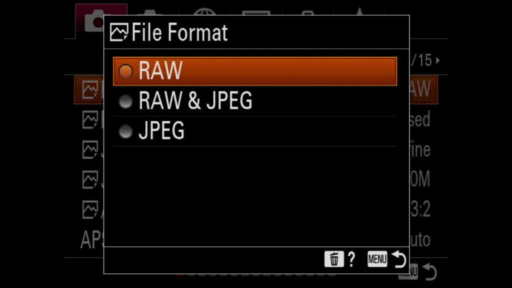 Changing File Format on Sony a7R IV to RAW