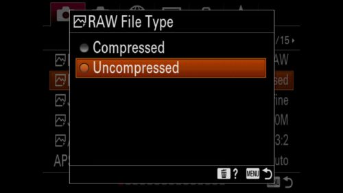 Choosing Uncompressed or Compressed RAW files with Sony a7R IV