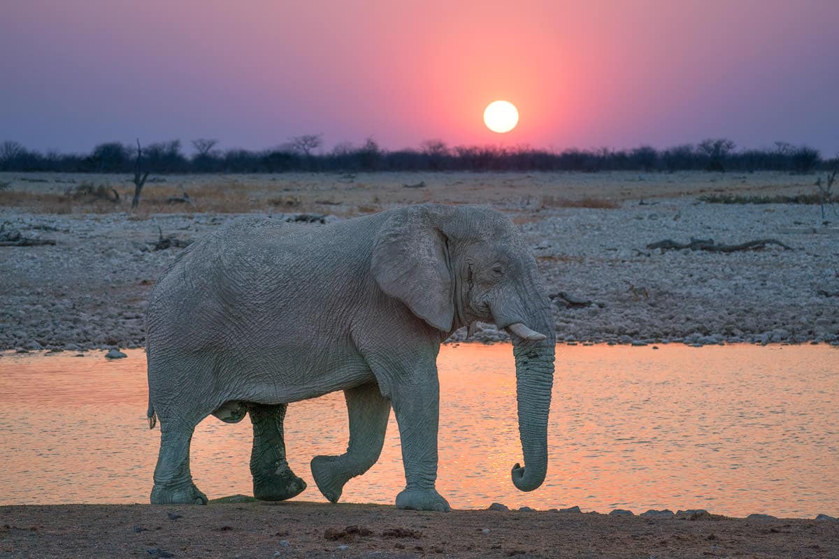 Sunset in Etosha National Park Namibia Photography Workshop Adventure