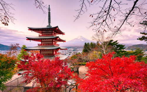 Japan in the Fall with the changing foliage colors, captured during a Photography Workshop