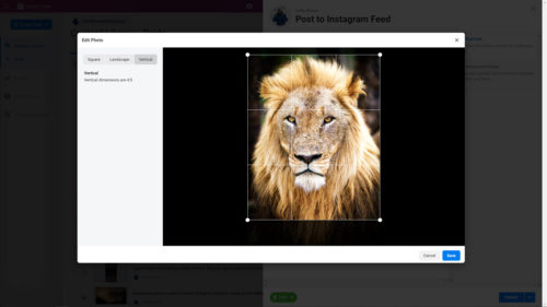 Cropping Vertical Image IG Post - Facebook Creator Studio