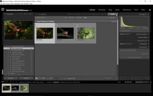 Publish RAW Files with SmugMug LR Plugin Source