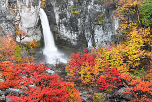 Chorrillo del Salto Waterfall Fall in Patagonia. Enjoy a Photography Workshop with Colby Brown in Patagonia