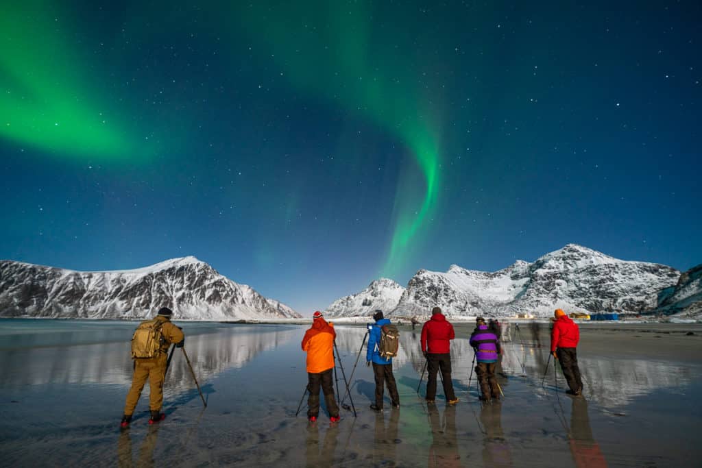 lofoten wildlife photo tour