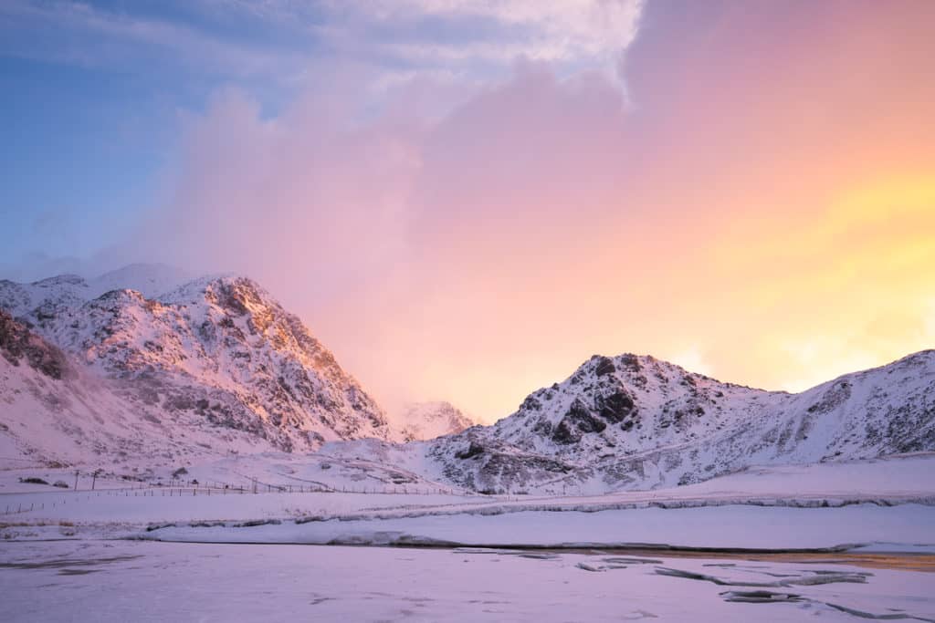 lofoten wildlife photo tour