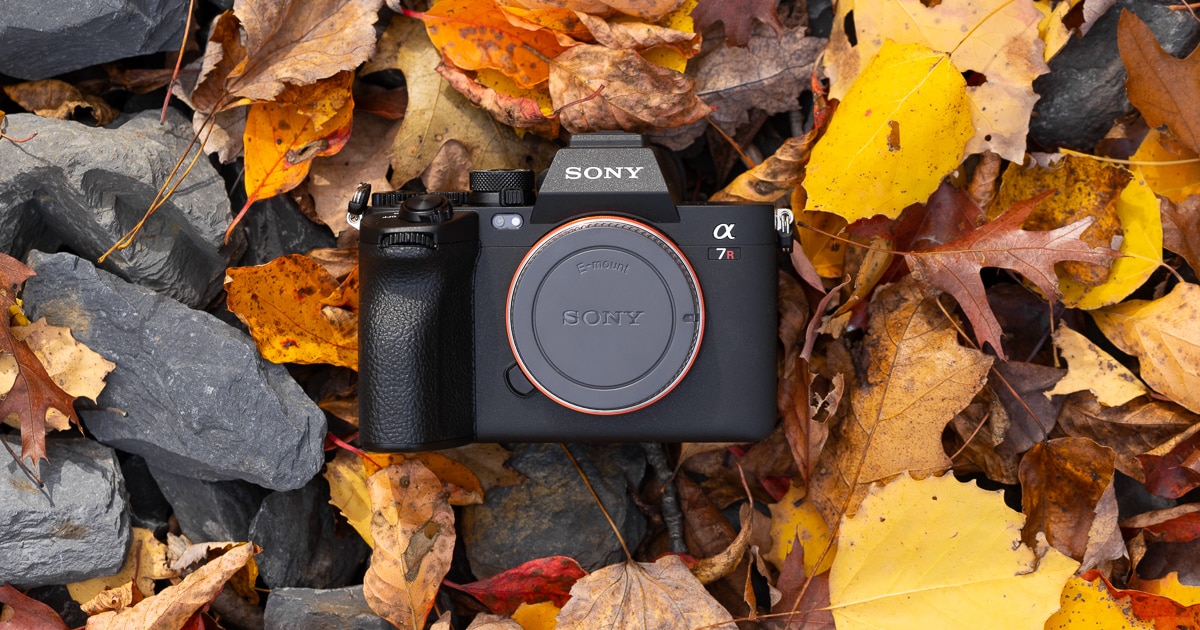 Sony a7cR Review: My Favorite Sony Camera So Far