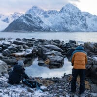 lofoten wildlife photo tour