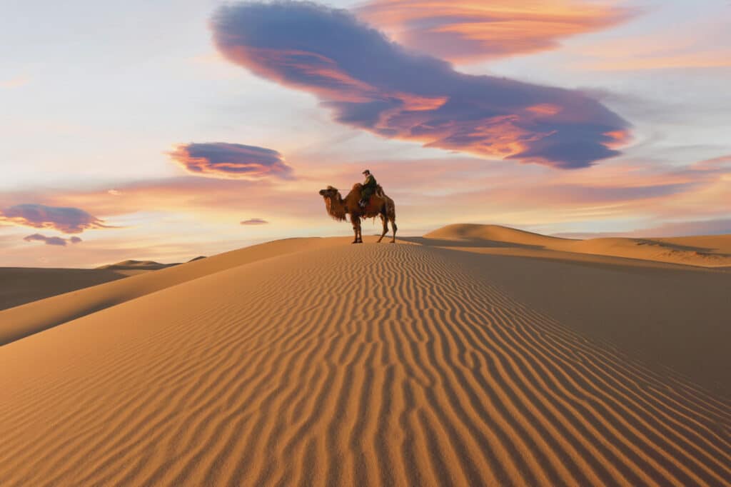 Sunset in the Gobi Desert with 2 Humped Camel - Mongolian Photo Workshop Adventure with Colby Brown