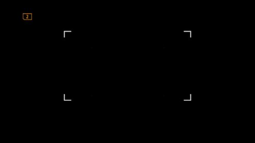 Custom AF areas - C1 - A Long rectangular box for vertical shooting (mostly) that covers most of the middle of the frame but leaves the edges out. I plan on using this for situations such as a diving Kingfisher or a vertical shot of a bird leaving a perch.