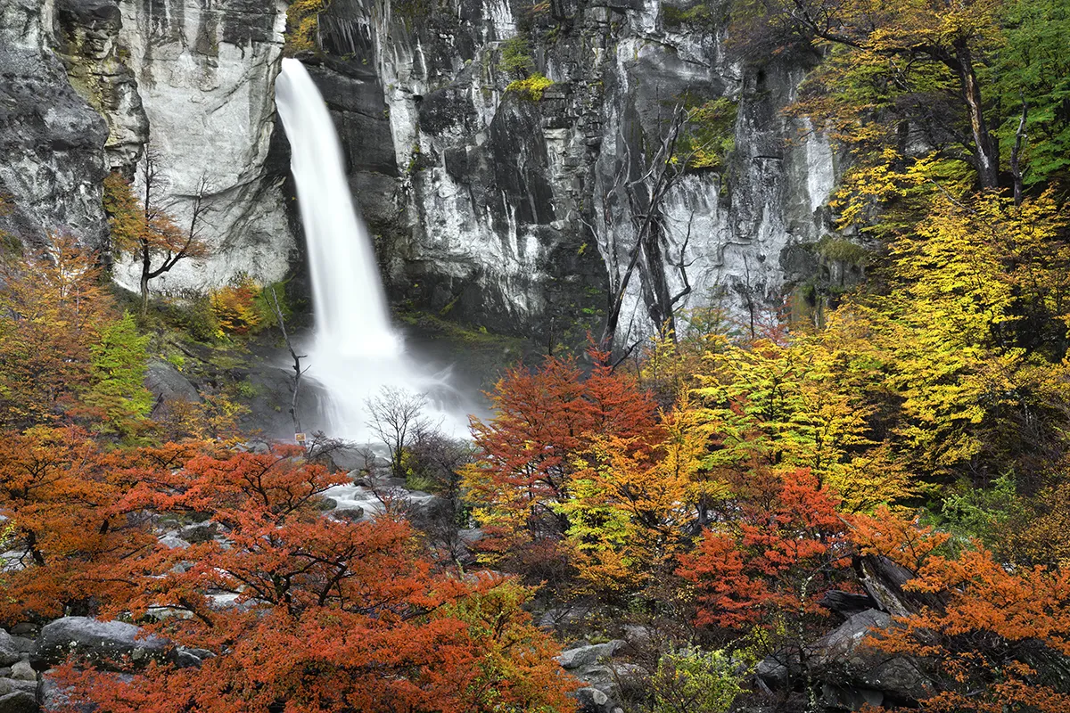 Amazing fall colors around the Salto Churillo Waterfall Patagonia Photography Workshop with Colby Brown